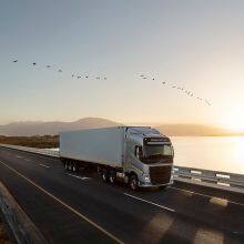 One-Stop Procurement & Logistics: Your Sourcing Partner for the Baltic States thumbnail-5