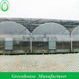 Galvanized Steel Polycarbonate Greenhouse