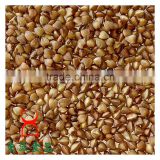 Organic roasted buckwheat cereal wholesale