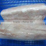 Frozen Yellowfin Tuna Loins thumbnail-1