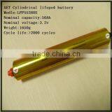 Large Capacity Lithium Iron Phosphate Battery 50ah 100ah for Energy Storage/solar Panel