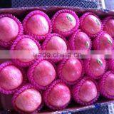 Apple Planter Chinese Apple Fuji Apple Carton 20kg thumbnail-1