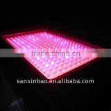 EverGrow 288*3 600W 3w Chips Led Indoor Plant Growing Light