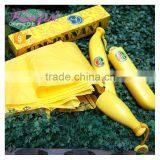 Hot Sell Unique Umbrella Sun And Rain Folding Umbrella Banana Shape Umbrella thumbnail-2