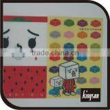 A4 Promotion pp Document Folder