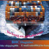 electronic toy sea shipping from China to Argentina