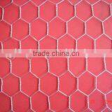 Hexagonal Mesh