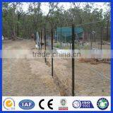 Steel Metal Type Bitumen Y Shape Farm Fence Post Star Picket thumbnail-6