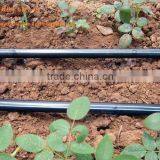 Drip Irrigation Tape With Double Line thumbnail-3