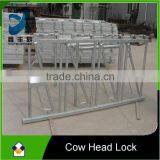 Steel Cow Head Lock Cattle Head Lock for Dairy Farm