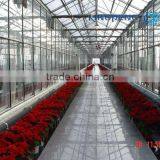 Venlo Roof Agricultural Polycarbonate Sheet Greenhouse thumbnail-6