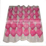 Disposable Pulp Paper Apple Tray thumbnail-1