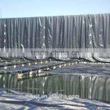 ASTM/GB Standard Low Price HDPE/PVC/EVA Waterproof Liner Geomembrane thumbnail-6