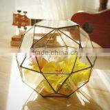 Planter for Indoor Gardening Air Plant Container Gift for Gardeners Glass Terrarium thumbnail-1