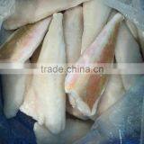 Red Gurnard Fillet thumbnail-5