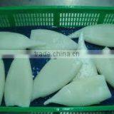 Frozen Whole Round Squid/ Frozen Squid/ Vietnam Seafood thumbnail-4
