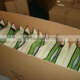 EVA Plastic Washable Pillow Environment Pillow thumbnail-3