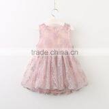 Summer New Style Princess Dress Lace Kids Clothes Girls Dresses Baby thumbnail-3