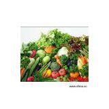 Sell Frozen and Dried Vegetables thumbnail-1