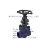 Wcb Gate Valve