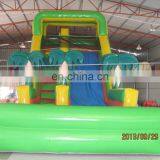 Empire Inflatable Coco Slide, Coconut Palm Inflatable Slide DS089