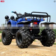 Hot Go Kart off Road Dune Buggy with Gasoline Wholesale