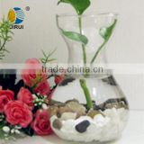 transparent glass hyacinth bottle hot sale