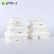 New Hot Disposable Biodegradable 7\