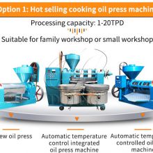 Home use cooking oil making machine groundnut oil extraction machine