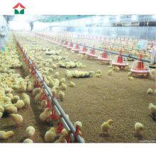 China Made Commercial Chicken House Used thumbnail-4