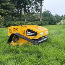 RC Mowing Robot China Manufacturer Factory Supplier Wholesaler thumbnail-2