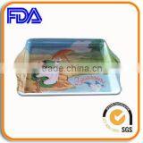 Rectangular Tin Tray Fancy Serving Trays