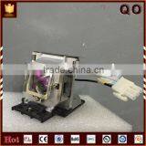 Replacement Lamp Bulb SP-LAMP-060 for Infocus IN102