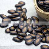 Black Melon Seeds Best Selling Products thumbnail-2