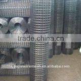 Galvanized Welded Wire Mesh