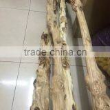 Window Display Tree Trunk Props thumbnail-5