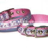 Fashion Lanyard Printing Nylon Dog Collar.