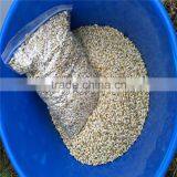 Australia Barley for Food Beer Feed Cheap thumbnail-2