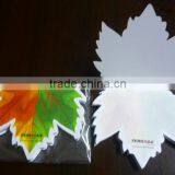 ECO Cheap Shaped Notepads