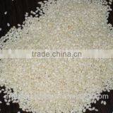 Wijen (sesame) thumbnail-5