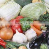 Matte Self Adhesive pp 200