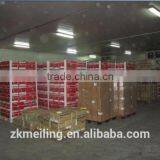 -70 to -80C Cold Storage Room thumbnail-4