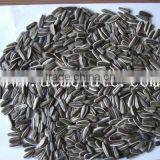 Sunflower Seeds Suppliers