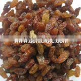 Best Price Red Raisin From China thumbnail-4
