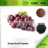 BNP Supply 100% Natural Grape Seed Capsule thumbnail-1