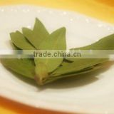 indian Bay Leaves
