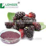 Good Water Soluble Anti-oxidant Blackberry Fruit Powder by Solvent Metnod