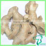 Chinese Mature Ginger Dried Best Market Price thumbnail-3