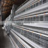 Poultry Slaughtering Equipment Chicken Slaughtering Equipment thumbnail-1