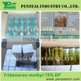 Tribenuron Methyl 95%Tech,Tribenuron Methyl 75%WDG, DF, agrochemical herbicide 101200-48-0